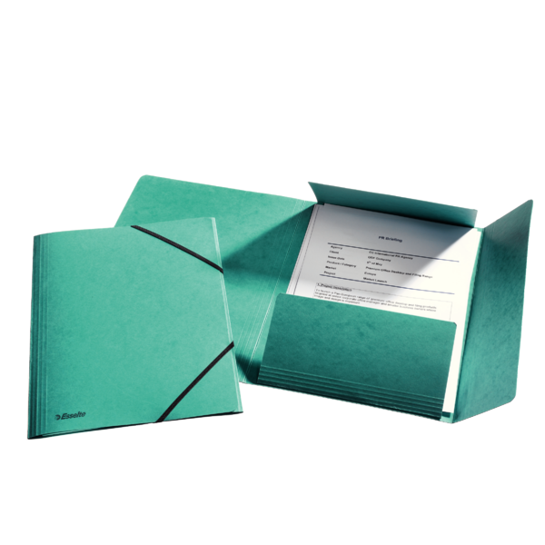 6e690d94-e394-430f-a7dd-f189c5025a7d.png Teczka preszpanowa z gumką Esselte zielona - obrazek 1