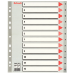 Przekładki plastikowe Esselte PP A4 numeryczne 1-1