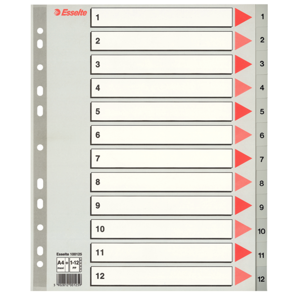 9717f4d6-b632-4427-8e35-a900b2633e19.png Przekładki plastikowe Esselte PP A4 numeryczne 1-1 - obrazek 1