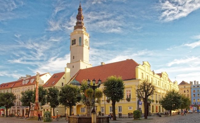 Hurtownia papiernicza Świdnica - Arioo.pl